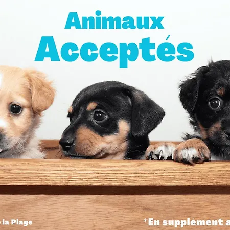 2 Face Avec Balcon – 6 Pers, Parking, Animaux Acceptés - Fr-1-323-246 Appartamento *