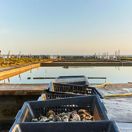 2 Face Avec Balcon – 6 Pers, Parking, Animaux Acceptés - Fr-1-323-246 Appartamento