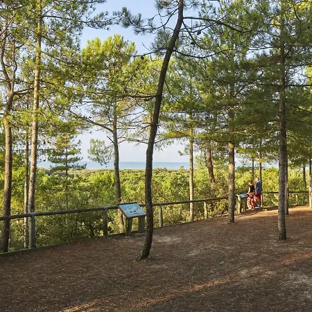 2 Face Avec Balcon – 6 Pers, Parking, Animaux Acceptés - Fr-1-323-246 Saint-Jean-de-Monts