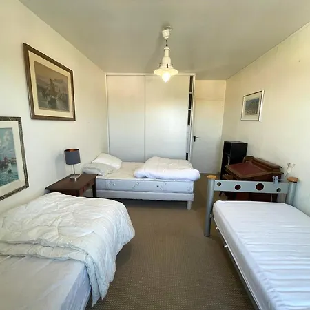 2 Face Avec Balcon – 6 Pers, Parking, Animaux Acceptés - Fr-1-323-246