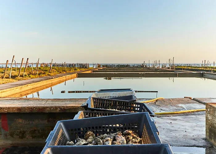 2 Pour 6 Personnes A - Fr-1-323-246 아파트